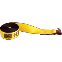 Winch Straps, Flat Hook, 3" W x 30' L, 5400 lbs. (2450 kg) Working Load Limit Rock Safety Industrial Ltd