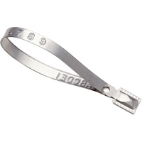 Scell&eacute;s Guard Lock, 8-3/8", M&eacute;tal, Scell&eacute; pour camion Rock Safety Industrial Ltd