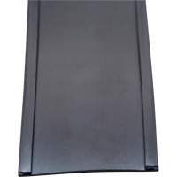 Card Holder, Magnetic, 600" L x 2" W Rock Safety Industrial Ltd