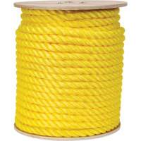 Corde jaune tress&eacute;e, Polypropyl&egrave;ne, 300' Rock Safety Industrial Ltd