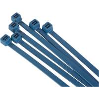 Attache-c&acirc;bles d&eacute;tectables par d&eacute;tecteur de m&eacute;taux, 6" lo, R&eacute;sistance &agrave; la traction 120 lb Rock Safety Industrial Ltd
