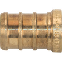 Capuchon de tuyau sans plomb, Tuyau, 1/2" dia., Laiton Rock Safety Industrial Ltd