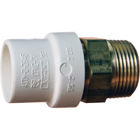 Threaded Pipe Adapter, Hub x MPT, 1" Dia., Brass/CPVC Rock Safety Industrial Ltd