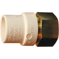 Threaded Pipe Adapter, Hub x FPT, 1" Dia., Brass/CPVC Rock Safety Industrial Ltd