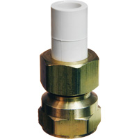 Transition Adapter, 1/2" Dia., Brass/CPVC Rock Safety Industrial Ltd