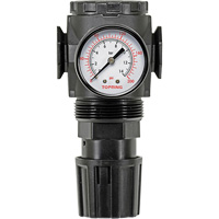 Regulator with Gauge Modulair 300, 1/4" NPT, 300 psi Max. PSI, In Line/Modular Rock Safety Industrial Ltd