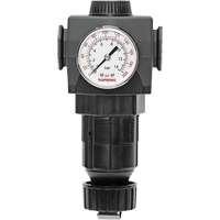 Regulator with Gauge Modulair 400, 3/4" NPTF, 125 PSI Max. PSI, In Line/Modular Rock Safety Industrial Ltd