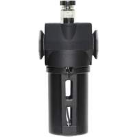 Lubrificateur avec bol standard Modulair 300, 3/8" NPTF, Max. 150 psi, Canalisation/Modulaire Rock Safety Industrial Ltd