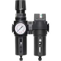 Filtre/d&eacute;tendeur & filtre coalescent Modulair 300 avec bol standard & drain manuel, 3/8" NPTF, 150 psi, Capacit&eacute; de 5,12 oz liq Rock Safety Industrial Ltd