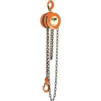 Chain Hoist, 10' Lift, 1000 lbs. (0.5 tons) Capacity, Steel Chain Rock Safety Industrial Ltd