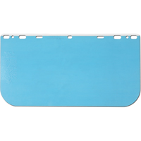 Visi&egrave;re pour harnais &agrave; rochet, Polycarbonate, Teinte Transparent Rock Safety Industrial Ltd