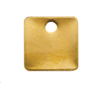 Blank Tags, Brass, 1.25" dia Rock Safety Industrial Ltd