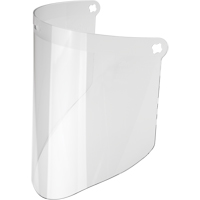 Faceshield Visors