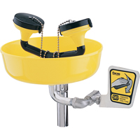 Poste de douche oculaire, Installation Support pour tuyau d'approvisionnement, Bol Plastique Rock Safety Industrial Ltd