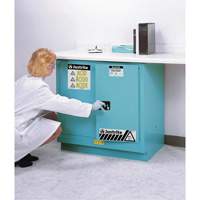 ChemCor&reg; Lined Acid/Corrosive Storage Cabinets, 22 gal., 35" x 35" x 22" Rock Safety Industrial Ltd