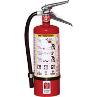 Extincteur d'incendie, ABC, Capacit&eacute; 5 lb Rock Safety Industrial Ltd