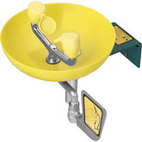 Eye/Face Wash Station, Wall-Mount Installation, Plastic Bowl Rock Safety Industrial Ltd