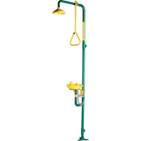 Safe-T-Zone&reg; Combination Shower & Eye/Face Wash Rock Safety Industrial Ltd