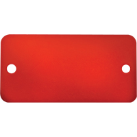 Blank Tags, Aluminum, 3" W x 1" H Rock Safety Industrial Ltd