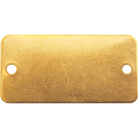 Blank Tags, Brass, 2" W x 1" H Rock Safety Industrial Ltd
