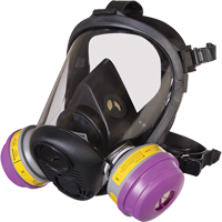 Respirateur &agrave; masque complet de s&eacute;rie RU6500 de North, Silicone, Petit Rock Safety Industrial Ltd