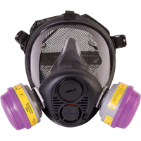 Respirateur &agrave; masque complet de s&eacute;rie RU6500 de North, Silicone, Moyen Rock Safety Industrial Ltd