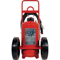 Extincteurs Red Line sur roues, BC, Capacit&eacute; 125 lb Rock Safety Industrial Ltd