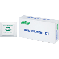 Hand Cleansing Moist Wipes, Towelette Rock Safety Industrial Ltd