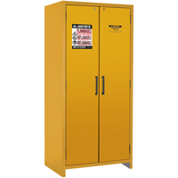 Armoire d'entreposage 90 minutes s&eacute;curitaire et conforme &agrave; la norme EN, 30 gal., 2 Porte(s), 35,16" La x 76,89" h x 24,21" p Rock Safety Industrial Ltd