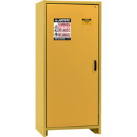 Armoire d'entreposage 30 minutes s&eacute;curitaire et conforme &agrave; la norme EN, 30 gal., 1 Porte(s), 34,02" La x 76,65" h x 24,21" p Rock Safety Industrial Ltd
