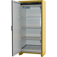 Armoire d'entreposage 30 minutes s&eacute;curitaire et conforme &agrave; la norme EN, 30 gal., 1 Porte(s), 34,02" La x 76,65" h x 24,21" p Rock Safety Industrial Ltd