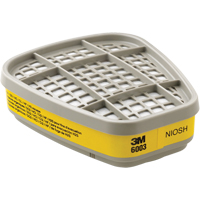 Cartouches pour respirateur s&eacute;rie 6000, Cartouche gaz/vapeur, Vapeurs organiques/Gaz acides Rock Safety Industrial Ltd