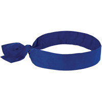 Chill-its&reg; 6700 Cooling Bandanas, Blue Rock Safety Industrial Ltd