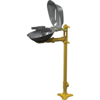 Postes de douche oculaire/faciale Halo, Installation Socle, Bol Acier inoxydable Rock Safety Industrial Ltd