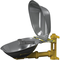 Poste de douche oculaire Halo, Installation Montage mural, Bol Acier inoxydable Rock Safety Industrial Ltd