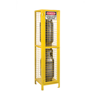 Armoires pour cylindres &agrave; gaz, nbre de bouteilles: 2, 17" , 17" , 69" , Jaune Rock Safety Industrial Ltd