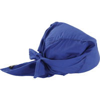 Foulards de refroidissement en triangle Chill-Its 6710CT, Bleu Rock Safety Industrial Ltd