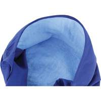 Foulards de refroidissement en triangle Chill-Its 6710CT, Bleu Rock Safety Industrial Ltd