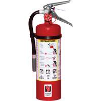 Extincteur d'incendie, ABC, Capacit&eacute; 5 lb Rock Safety Industrial Ltd