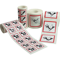 &eacute;tiquettes avec pictogrammes SGH, Vinyle, Rouleau, 4" lo x 4" la Rock Safety Industrial Ltd