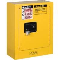 Mini-armoires de s&eacute;curit&eacute; Sure-Grip EX pour produits inflammables, 2 gal., 1 Porte(s), 17" La x 22" h x 8" p Rock Safety Industrial Ltd
