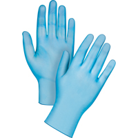 Medical-Grade Disposable Gloves, Small, Vinyl, 4.5-mil, Powder-Free, Blue, Class 2 Rock Safety Industrial Ltd