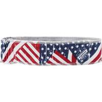 Bandana rafraîchissant Chill-Its 6605, Multicolore Rock Safety Industrial Ltd