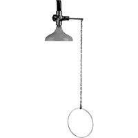 Lifesaver&reg; Emergency Overhead Showers, Ceiling-Mount Rock Safety Industrial Ltd
