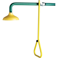 Lifesaver&reg; Emergency Overhead Showers, Wall-Mount Rock Safety Industrial Ltd