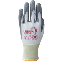 Gants r&eacute;sistants &agrave; la coupe PowerFit Lebon, Taille Petit/7, Calibre 13, Rev&ecirc;tement Polyur&eacute;thane, Enveloppe en Poly&eacute;thyl&egrave;ne, ASTM ANSI niveau A2/EN 388 niveau B Rock Safety Industrial Ltd