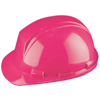 Casque Mont-Blanc de North, R&eacute;pond aux normes CSA type 2, Suspension Rochet, Non ventil&eacute; Rock Safety Industrial Ltd