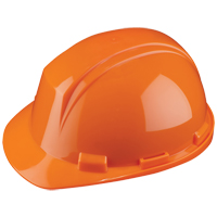 Casque Mont-Blanc de North, R&eacute;pond aux normes CSA type 2, Suspension Rochet, Non ventil&eacute; Rock Safety Industrial Ltd