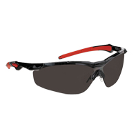 Dynamic Hawk Series Safety Glasses, Smoke Lens, Anti-Fog, ANSI Z87+/Meets/Exceeds CSA Z94.3 Rock Safety Industrial Ltd