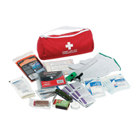 Dynamic Car First Aid Kit, Class 1 Medical Device, Nylon Bag Rock Safety Industrial Ltd